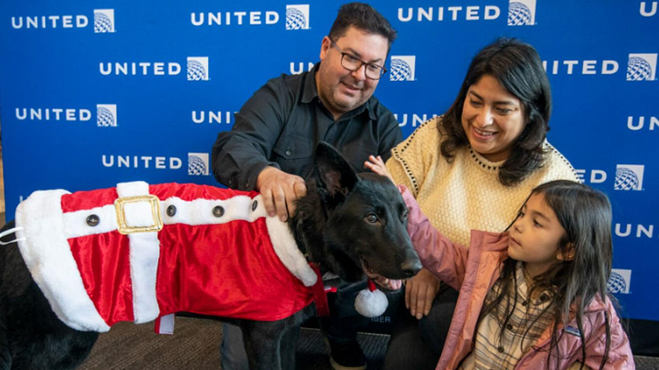 Dog abandoned at San Francisco airport finds forever home with a pilot